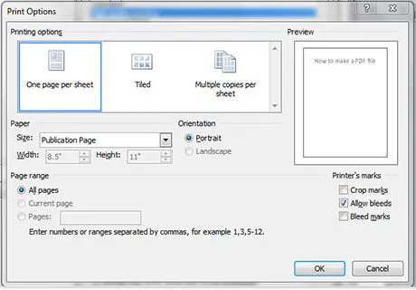 A one-page print options panels in Microsoft Publisher.