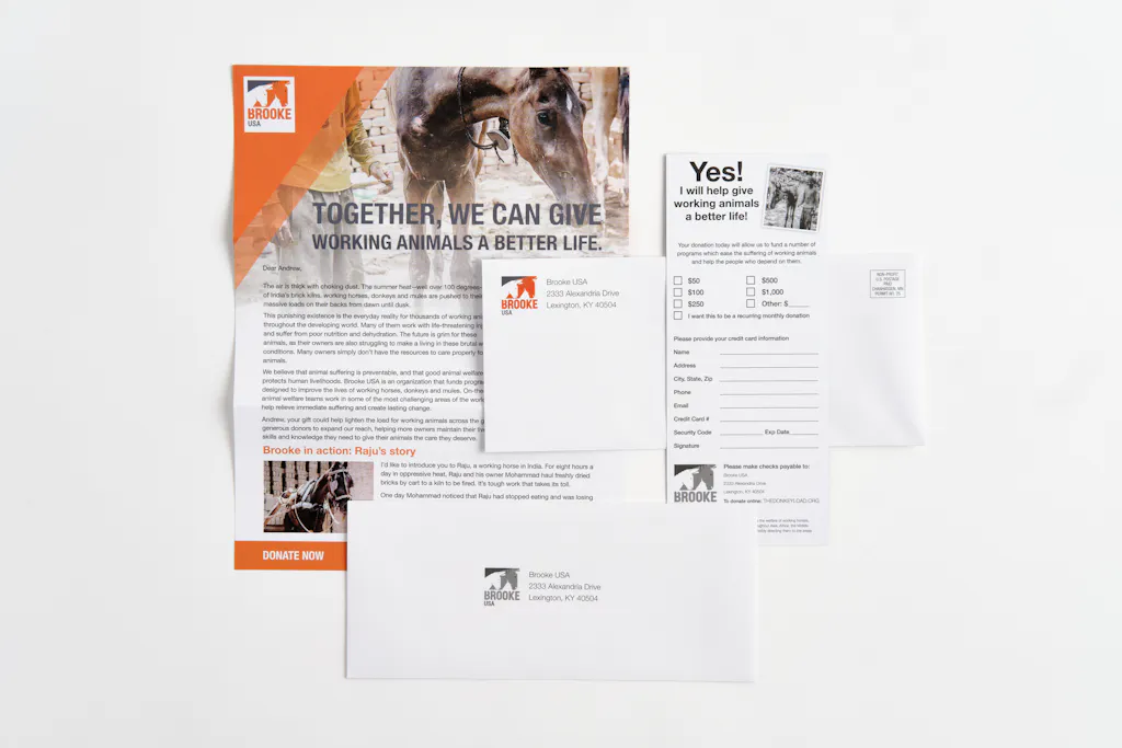 A letter mail printed with animal rescue information with matching envelopes and rack card.