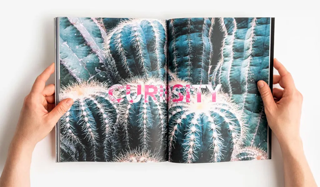 Two hands holding a magazine open to a spread with a crossover image of succulents and Curiosity in pink.